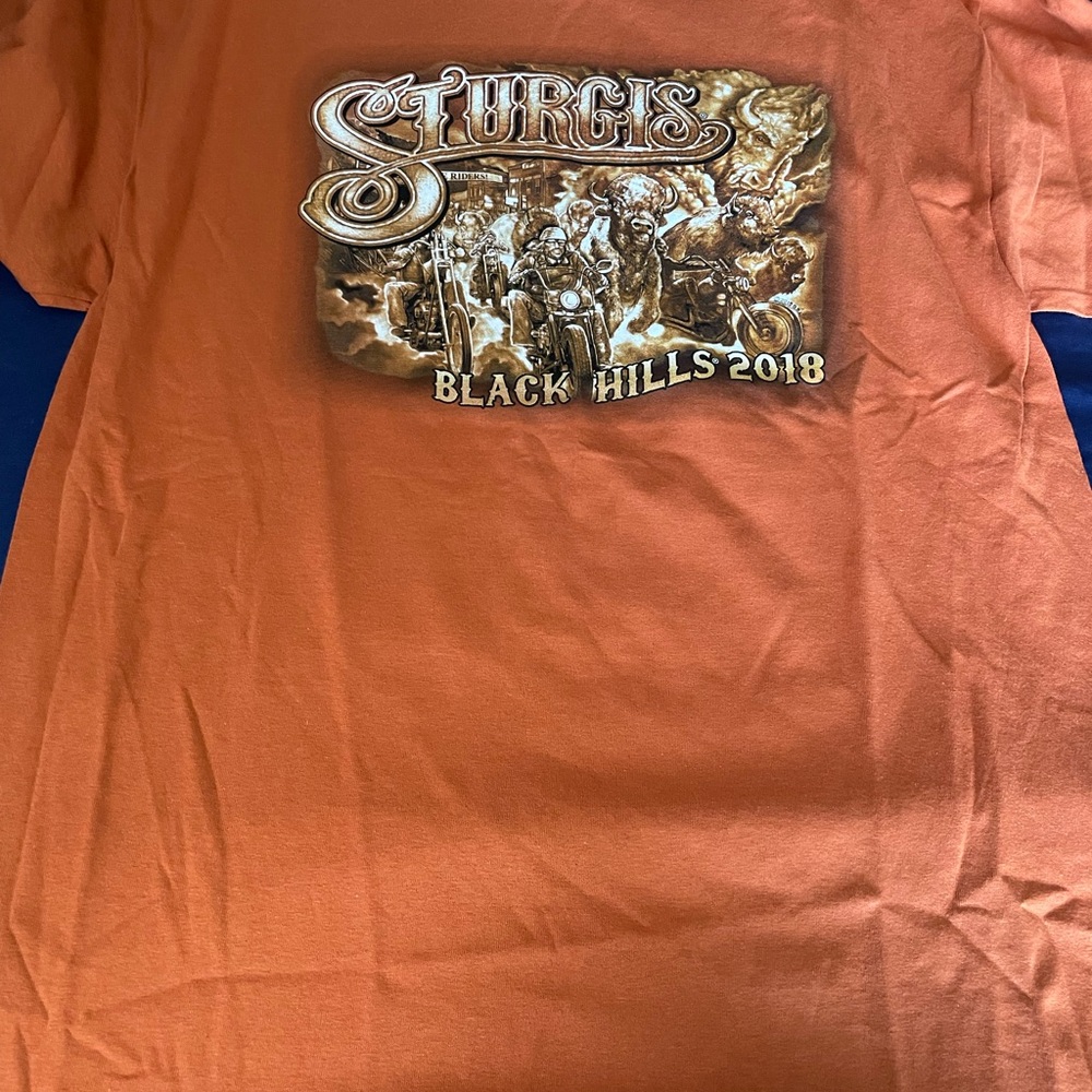 Sturgis Official Black Hills 2018 Orange T-Shirt